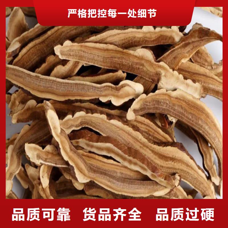 灵芝孢子粉_支持定制