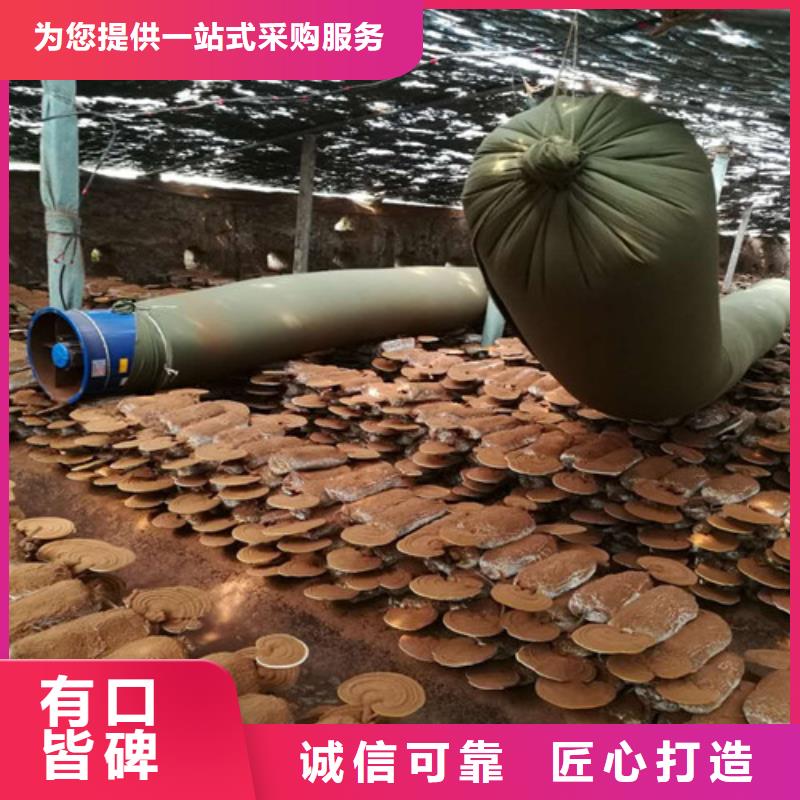 灵芝孢子粉生产直销