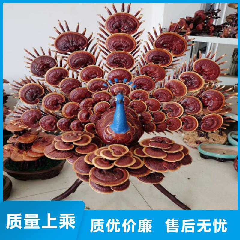 灵芝孢子粉厂家直销-全国发货