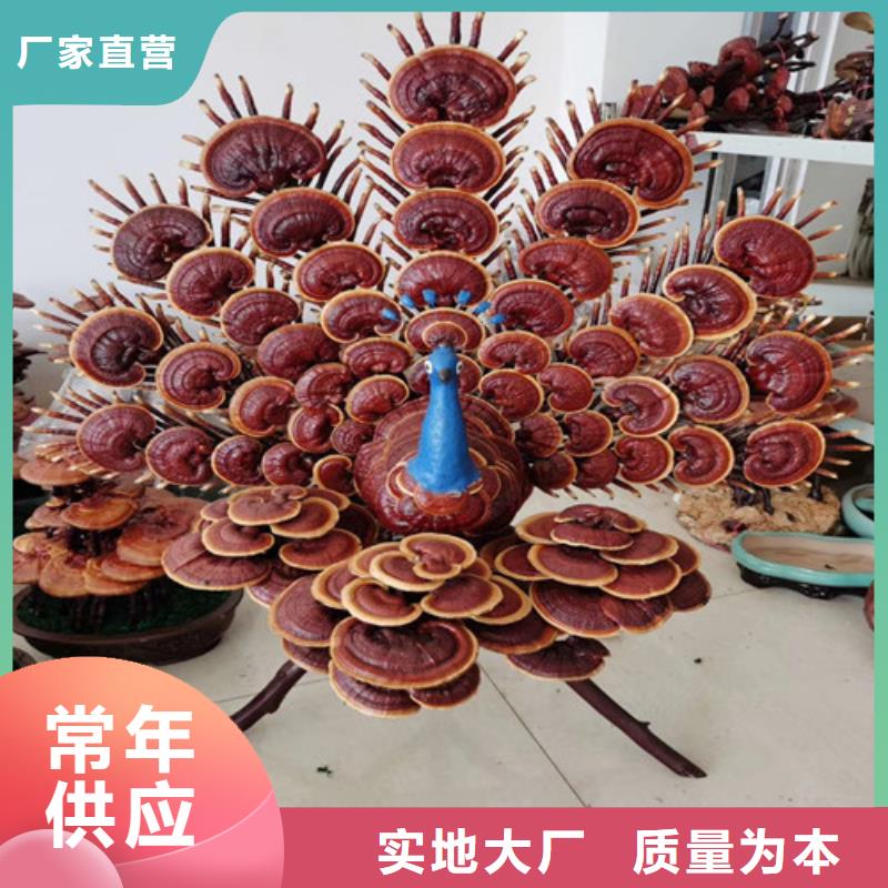 灵芝孢子粉大品牌值得信赖