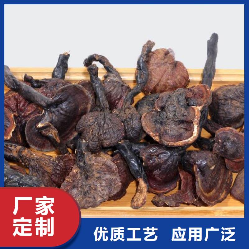 灵芝孢子粉厂家-高品质