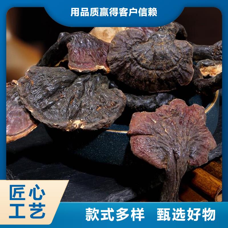 灵芝孢子粉厂家-专心做产品