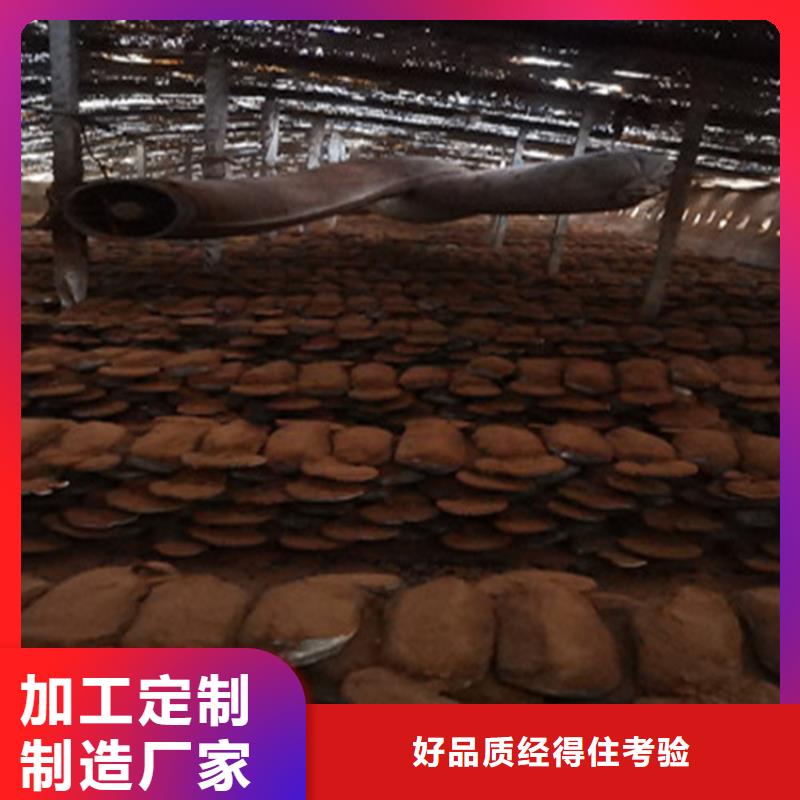 灵芝孢子粉厂家_咨询优惠