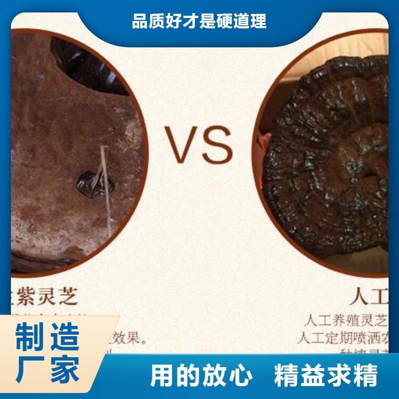 买灵芝孢子粉必看-规格全