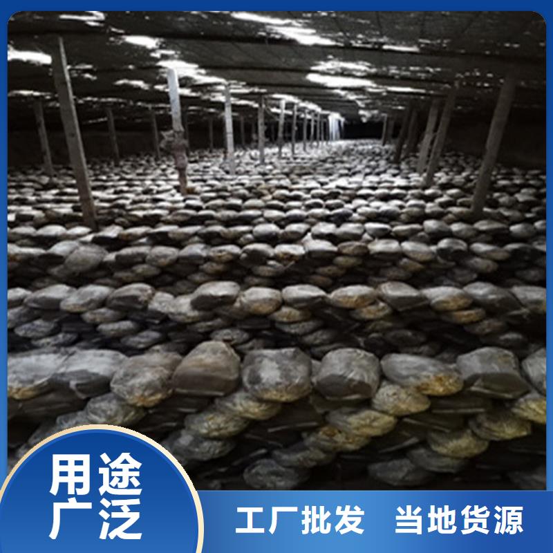 灵芝孢子粉厂家-高品质