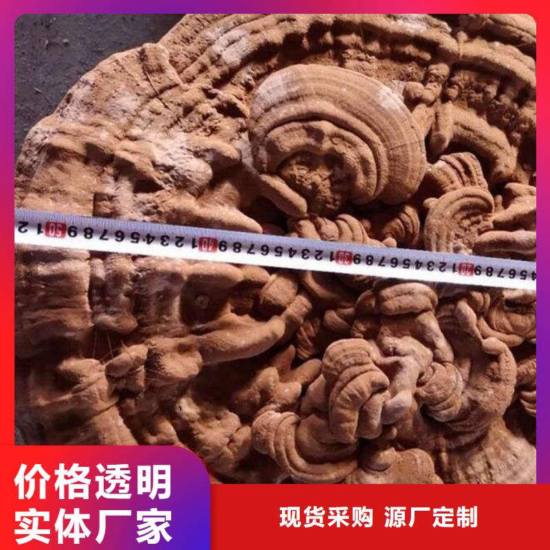 灵芝孢子粉直销品牌:灵芝孢子粉生产厂家