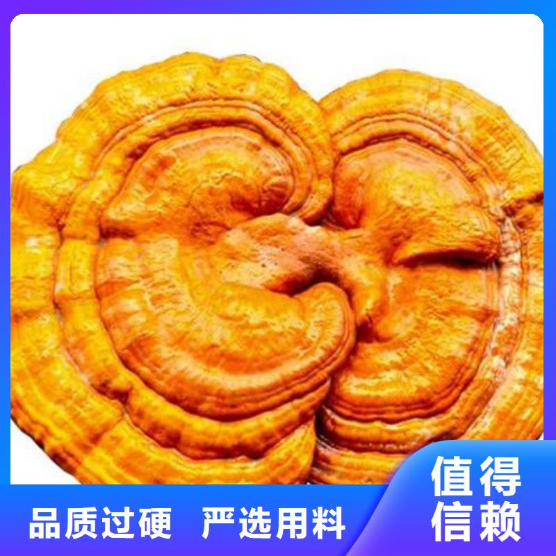 2025欢迎访问##灵芝孢子粉厂家##可定制