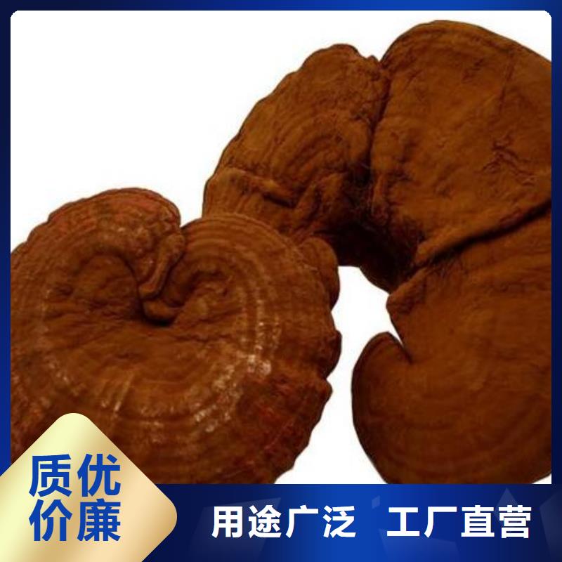 灵芝孢子粉-品质保障