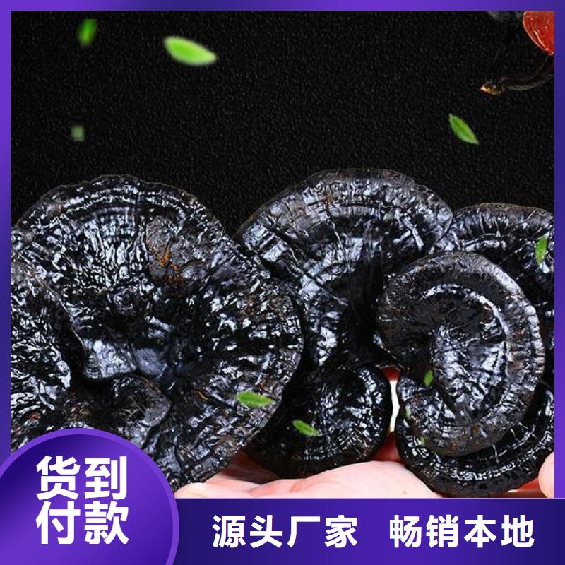 灵芝孢子粉发货快