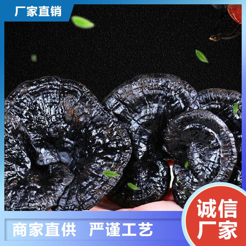灵芝孢子粉、灵芝孢子粉厂家-值得信赖