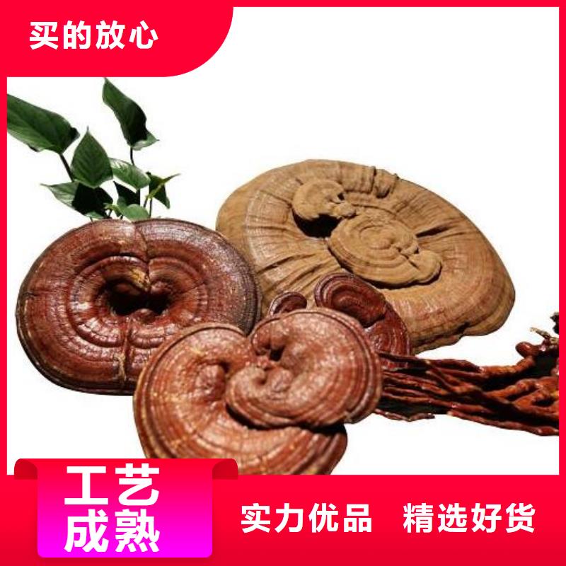 厂家供应灵芝孢子粉同城品牌