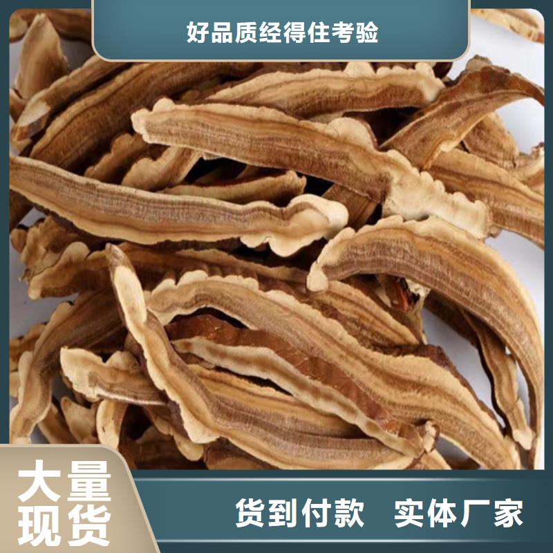 灵芝孢子粉品质商家