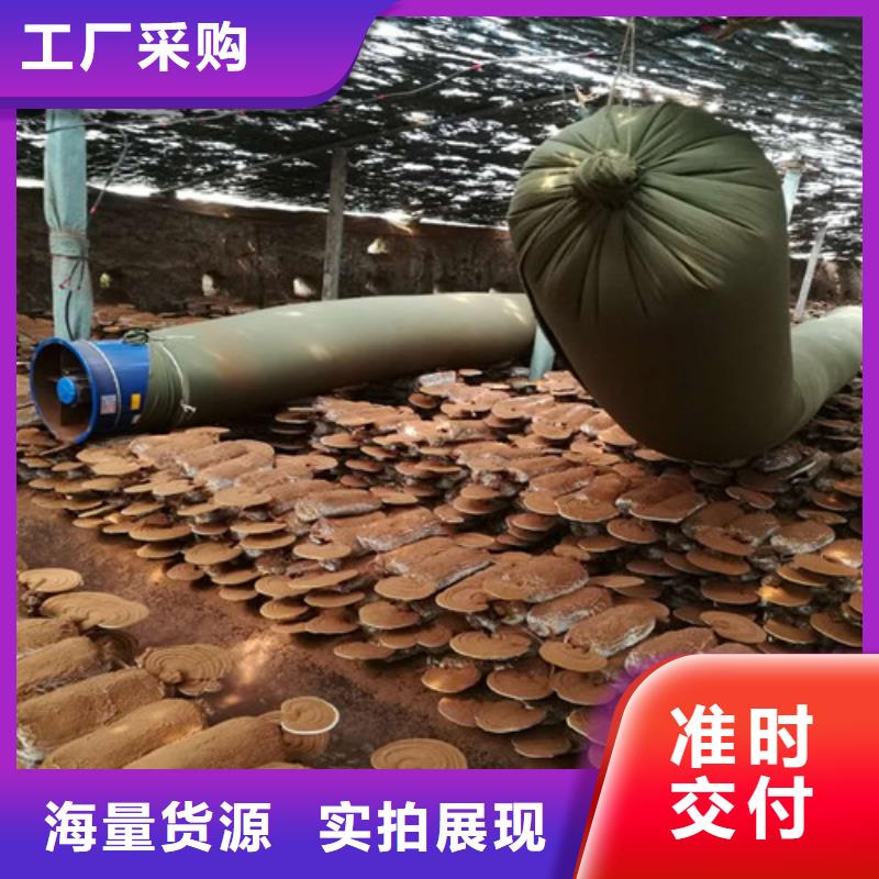 灵芝孢子粉成功案例