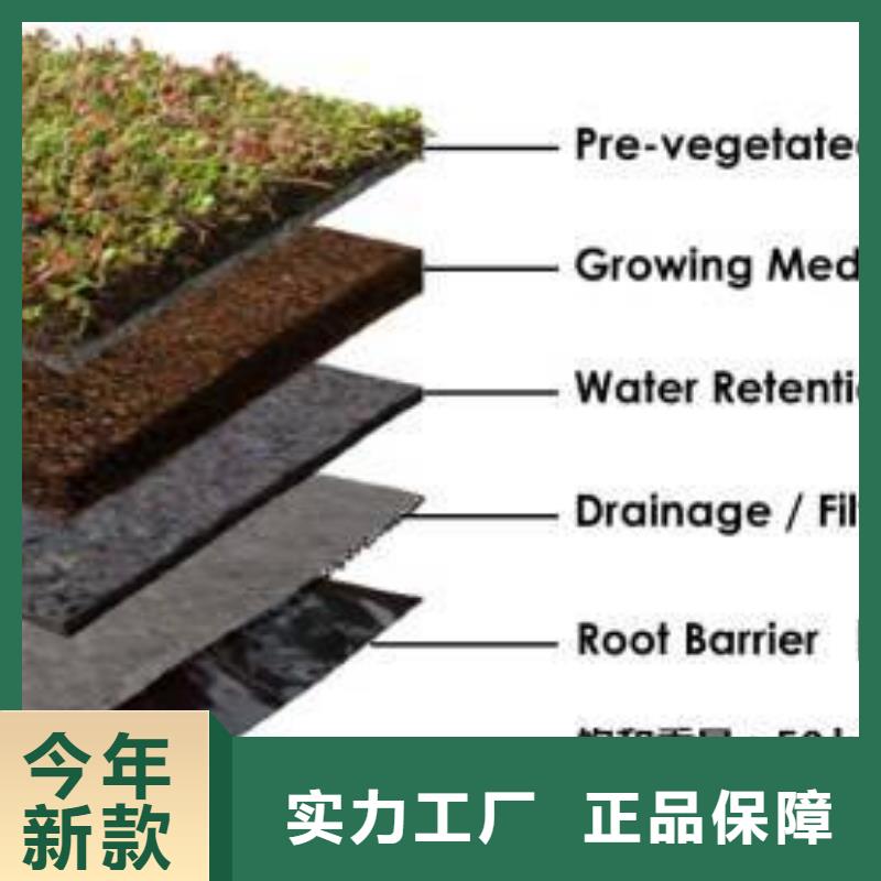 供应批发建筑维修修缮-优质