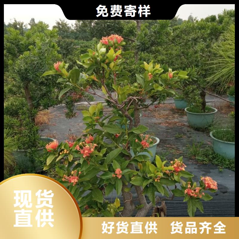 建筑维修修缮正规靠谱