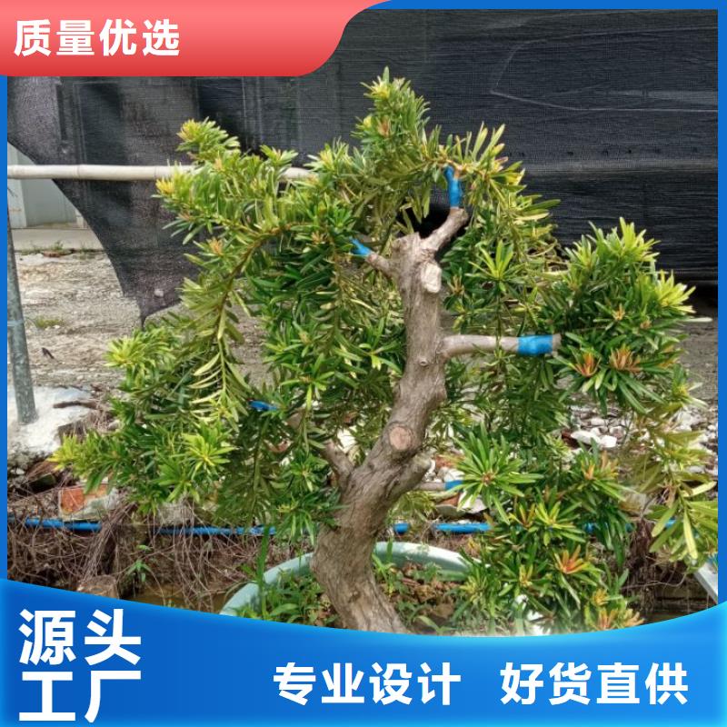建筑维修修缮多重优惠