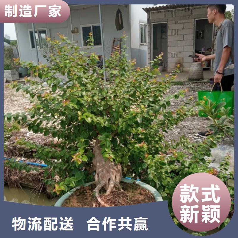 建筑维修修缮-批发价格-优质货源