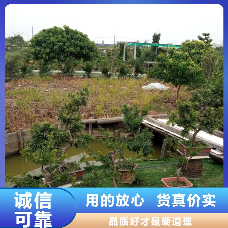 优质建筑维修修缮的公司
