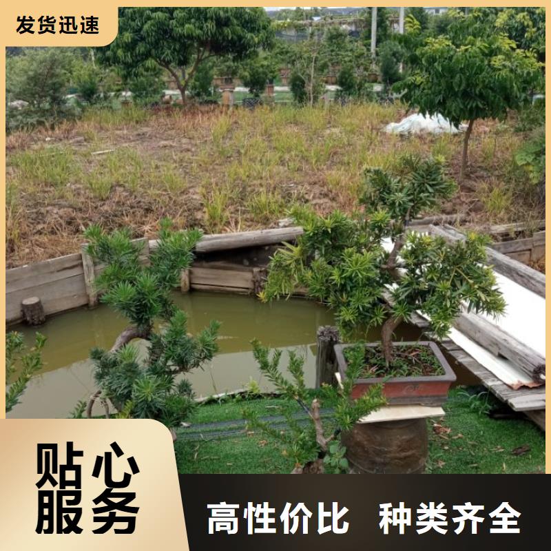 建筑维修修缮-建筑维修修缮厂家批发精选优质材料