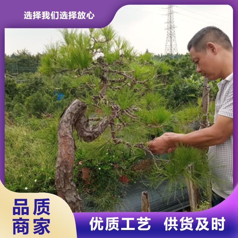 建筑维修修缮报价及时