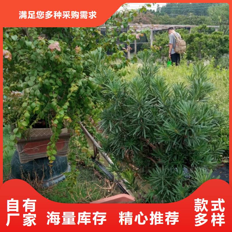 建筑维修修缮质量稳定