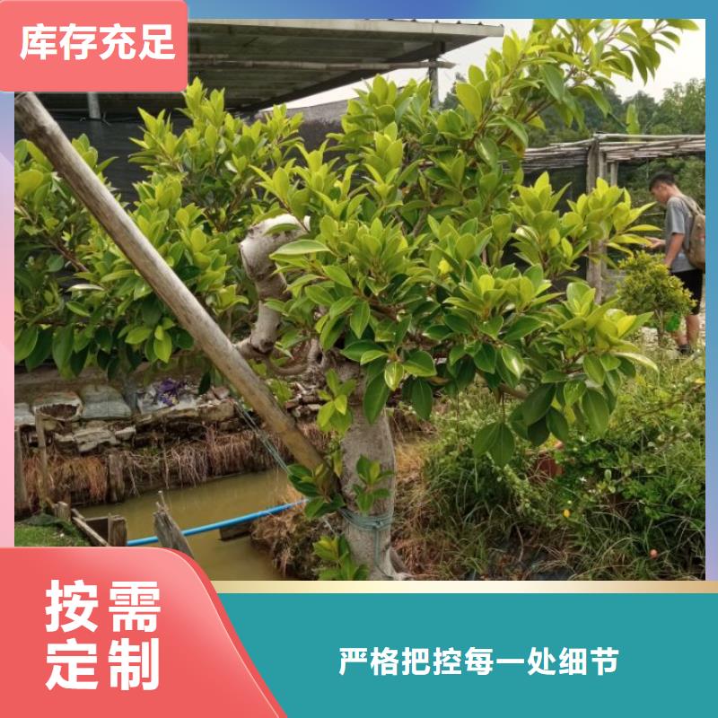 建筑维修修缮、建筑维修修缮厂家-发货及时