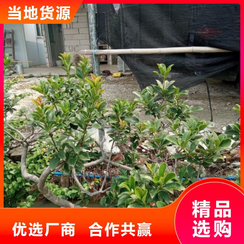 建筑维修修缮公司