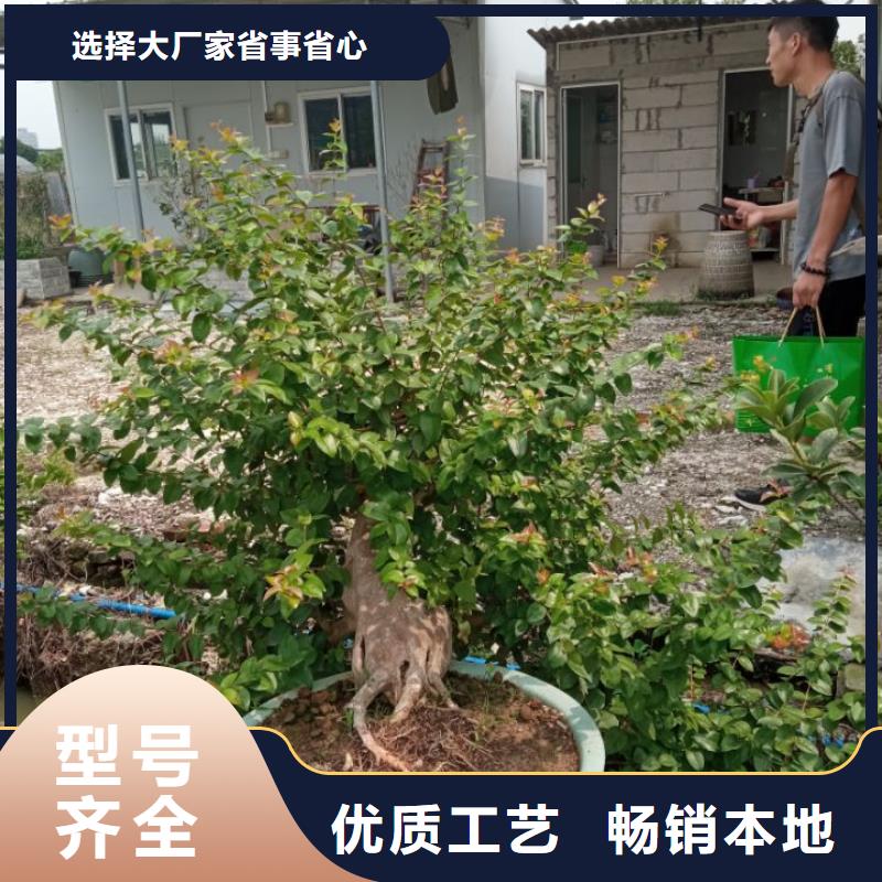 建筑维修修缮口碑评价
