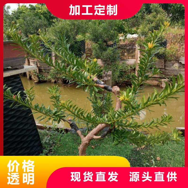 建筑维修修缮10年生产厂家按需定制真材实料