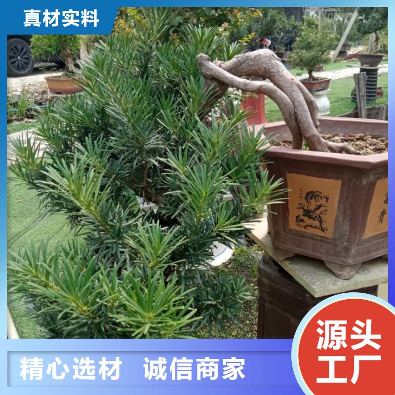 建筑维修修缮好品质查看详情