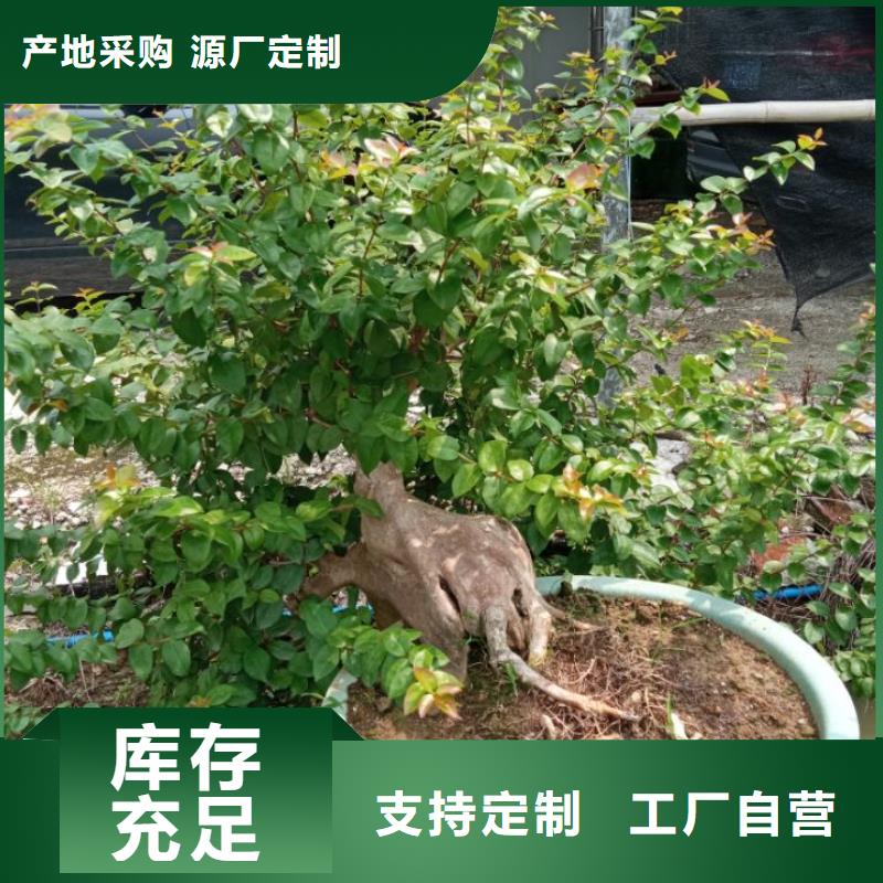 有现货的建筑维修修缮公司