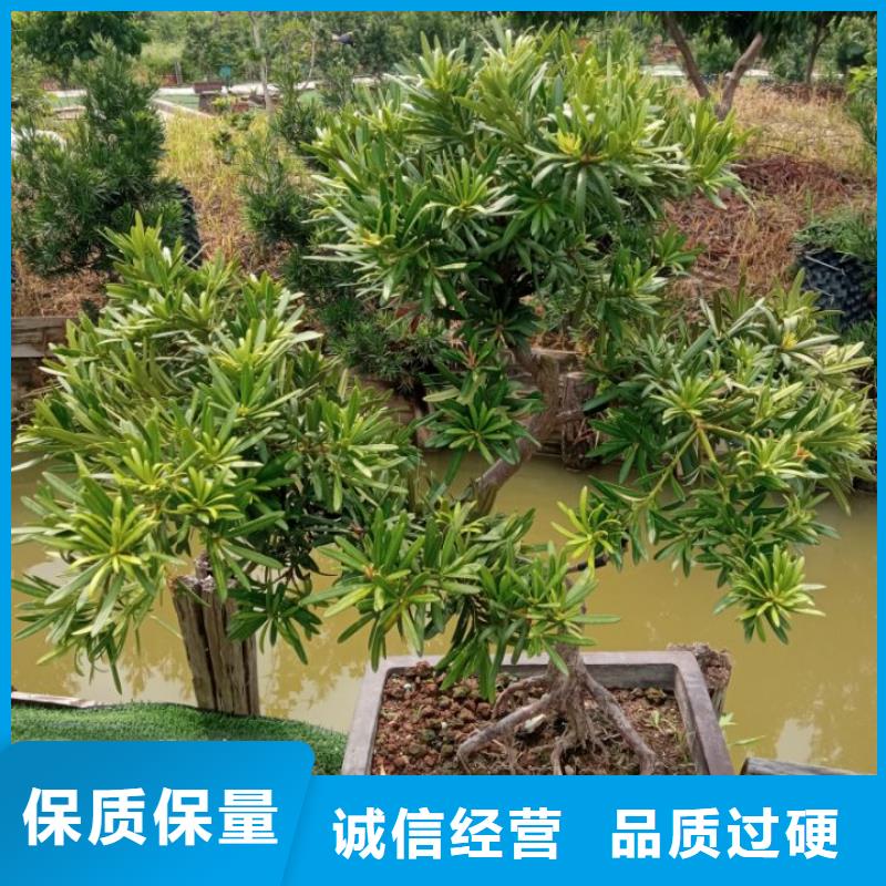 建筑维修修缮质量与价格同在