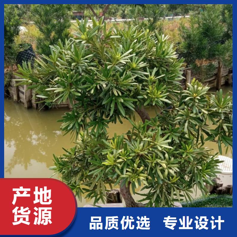 建筑维修修缮合作厂家本地服务商