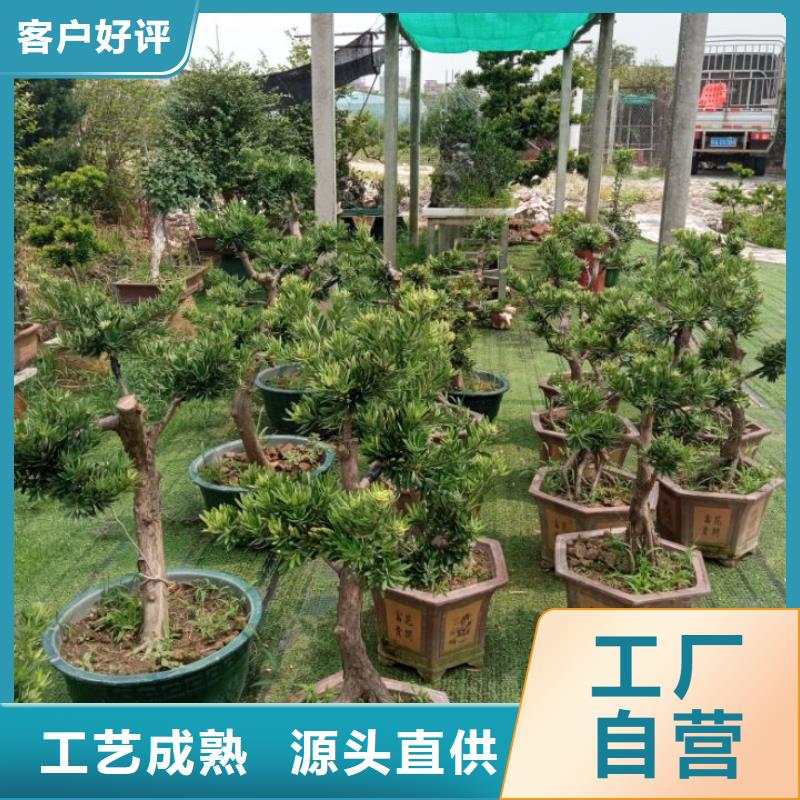 值得信赖的建筑维修修缮基地