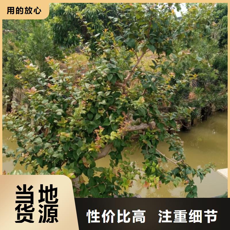 建筑维修修缮-建筑维修修缮专业品质