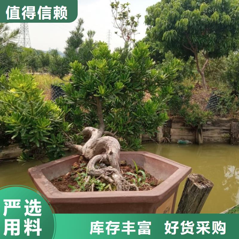 建筑维修修缮-建筑维修修缮专业生产