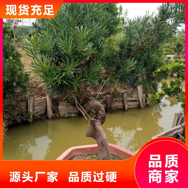 建筑维修修缮-建筑维修修缮热销