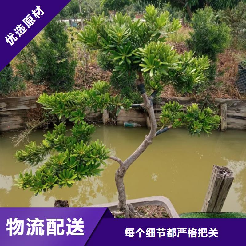 建筑维修修缮实体厂家-放心选购