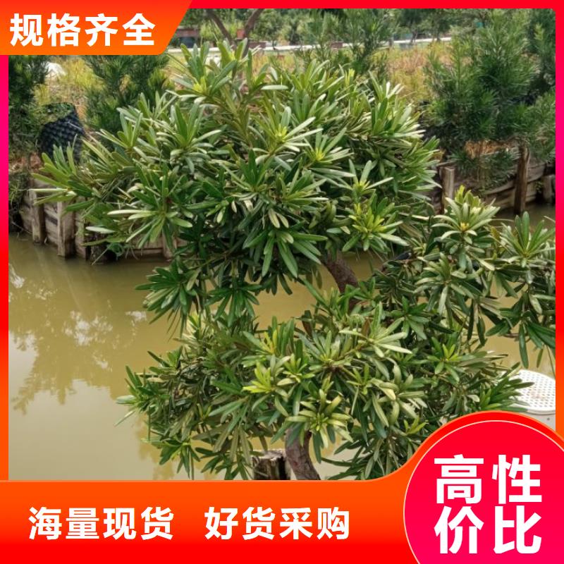质量优的建筑维修修缮厂家