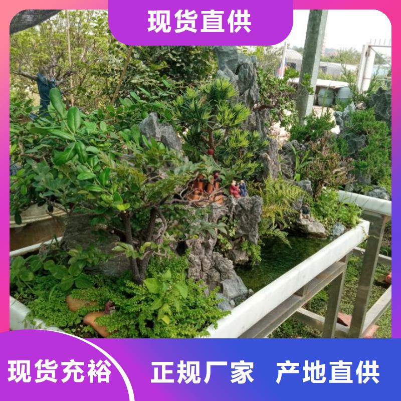 新产品：建筑维修修缮采购真材实料诚信经营