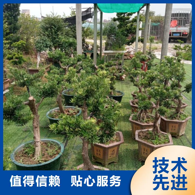 建筑维修修缮价格美丽