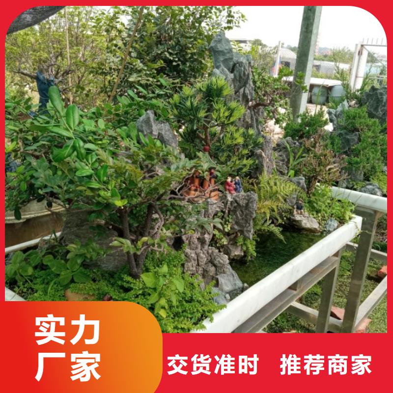 建筑维修修缮、建筑维修修缮厂家直销_大量现货
