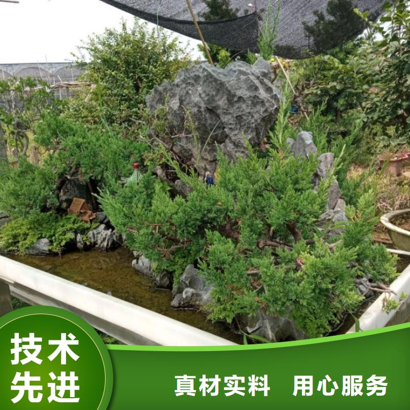 优选：建筑维修修缮生产厂家{当地}制造商