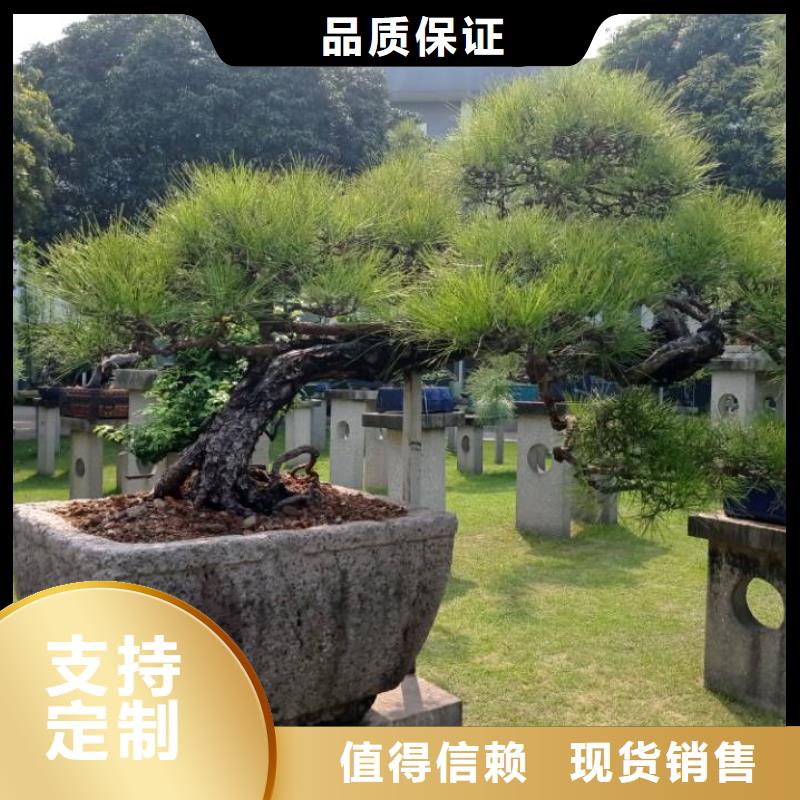 建筑维修修缮质量与价格同在