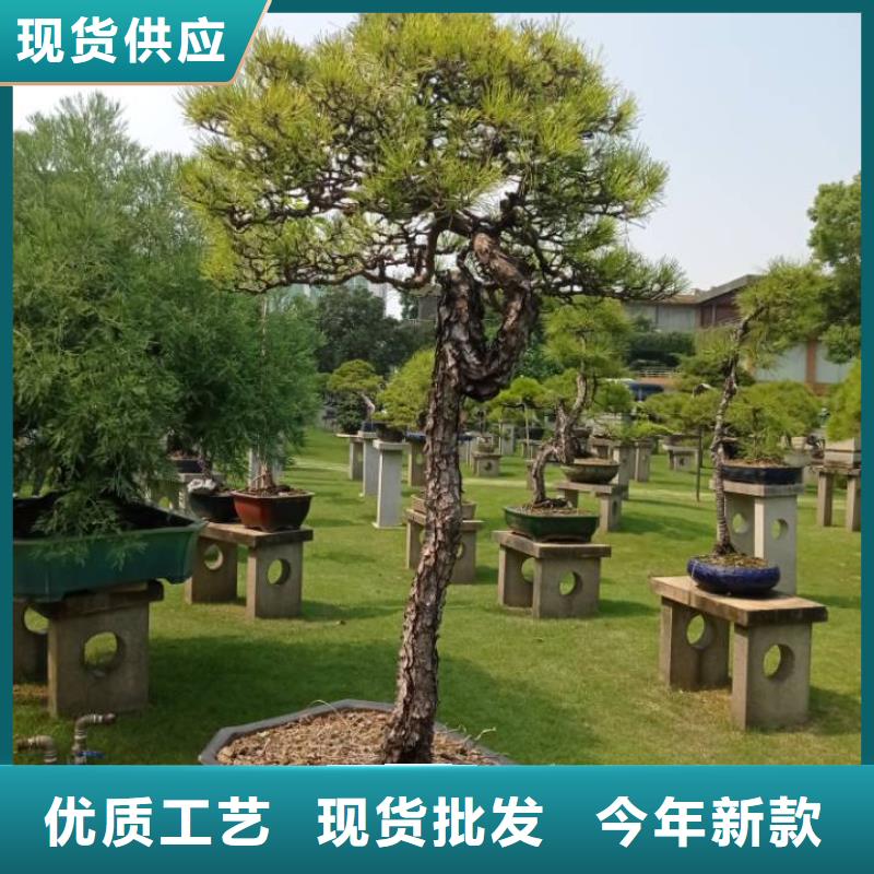 定制建筑维修修缮_品牌厂家