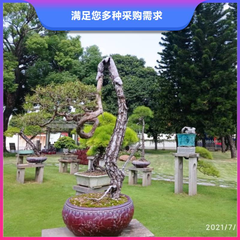 建筑维修修缮实力厂家生产
