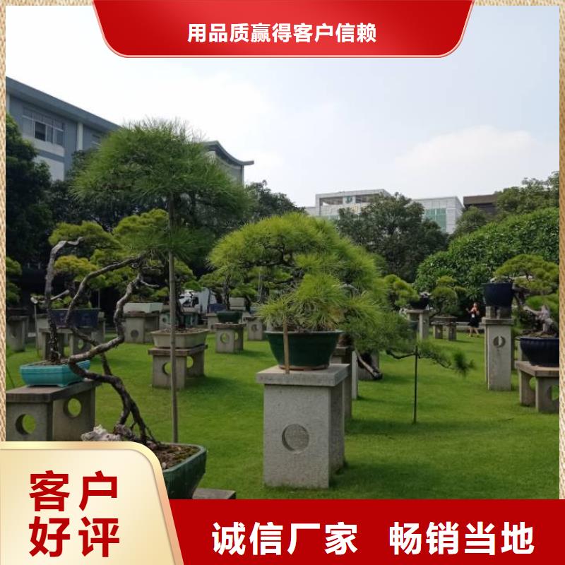 买建筑维修修缮必看-规格全