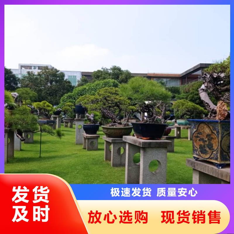建筑维修修缮大厂家值得信赖