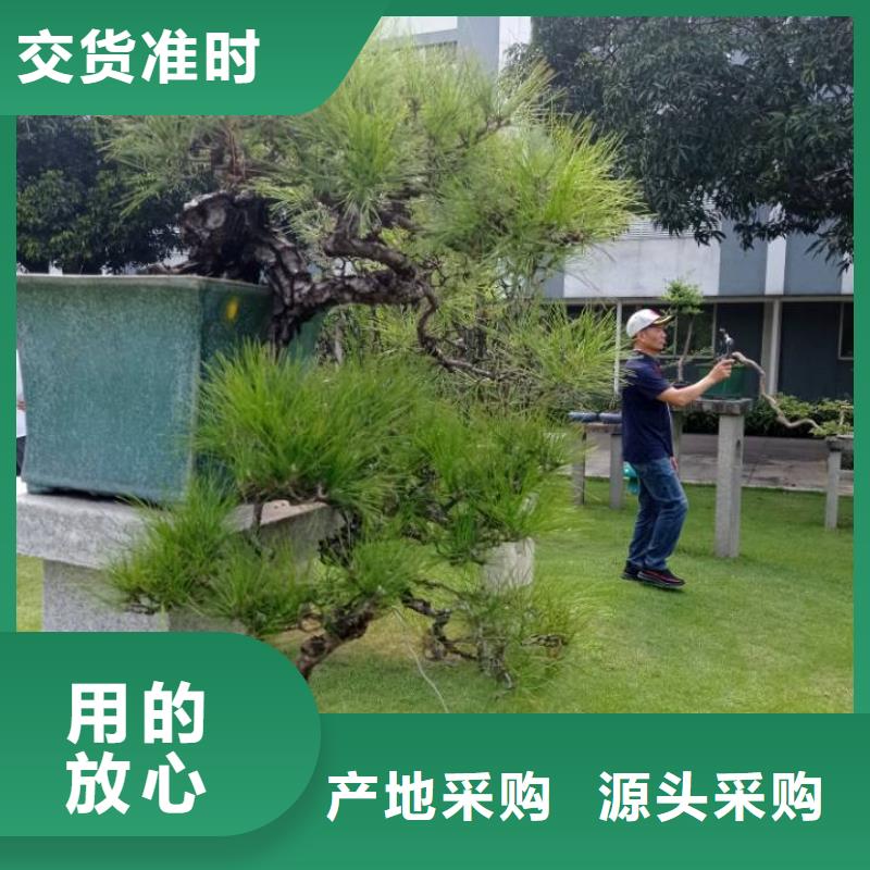 建筑维修修缮品牌供应商对质量负责