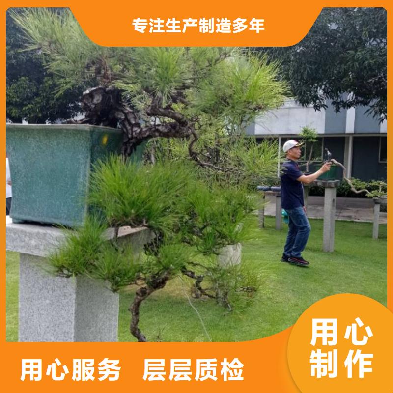 重信誉建筑维修修缮厂家